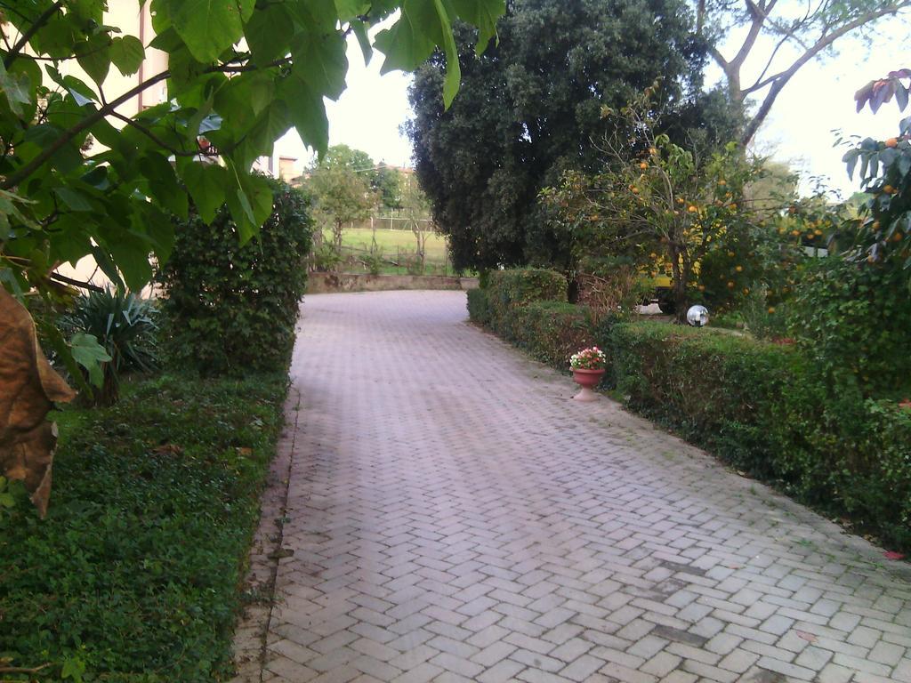 ארצו Agriturismo Artisti Del Cavallo מראה חיצוני תמונה